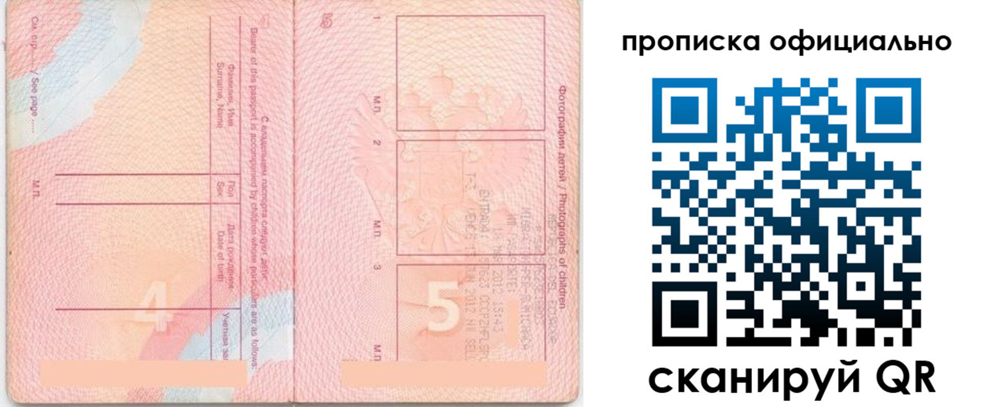 прописка для школы в Курской области
